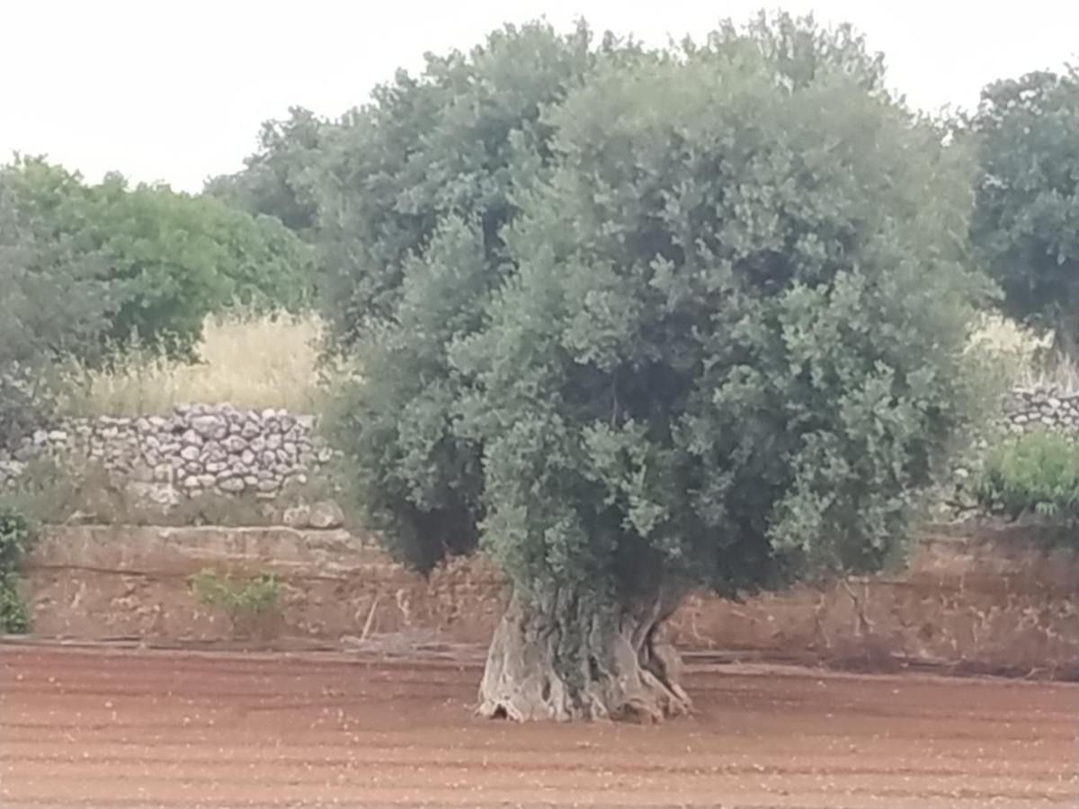 Отель Masseria Auina Фазано Экстерьер фото